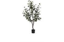 Coco Maison COCO MAISON accessoire Eucalyptus Tree kunstplant H140cm